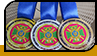 Медалі "Чемпіонат ДПСУ"